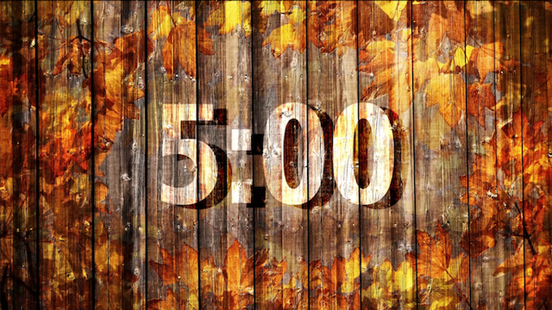 Wood and Leaves 5 Minute Countdown